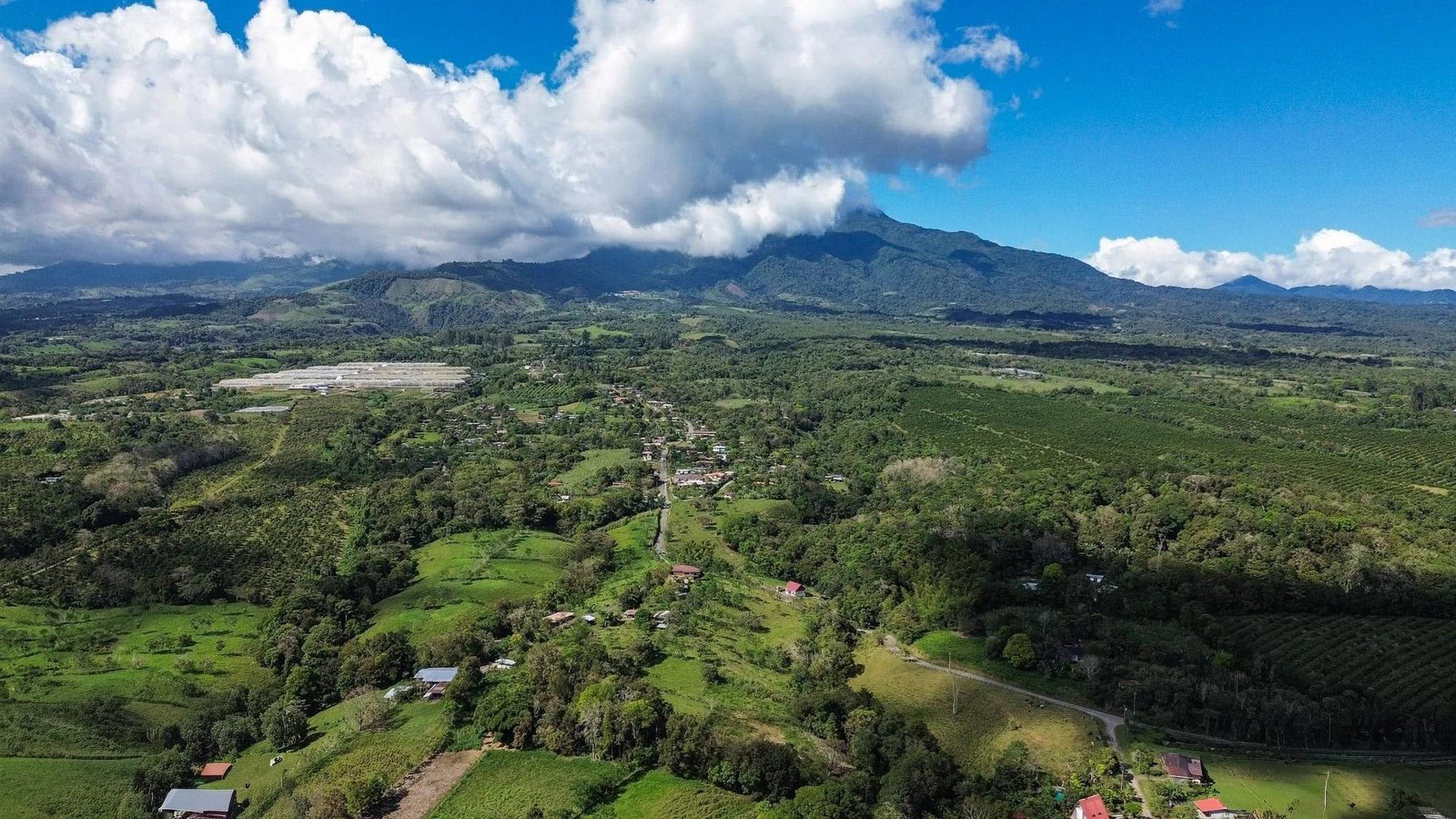Terreno en Venta en Potrerillos Arriba