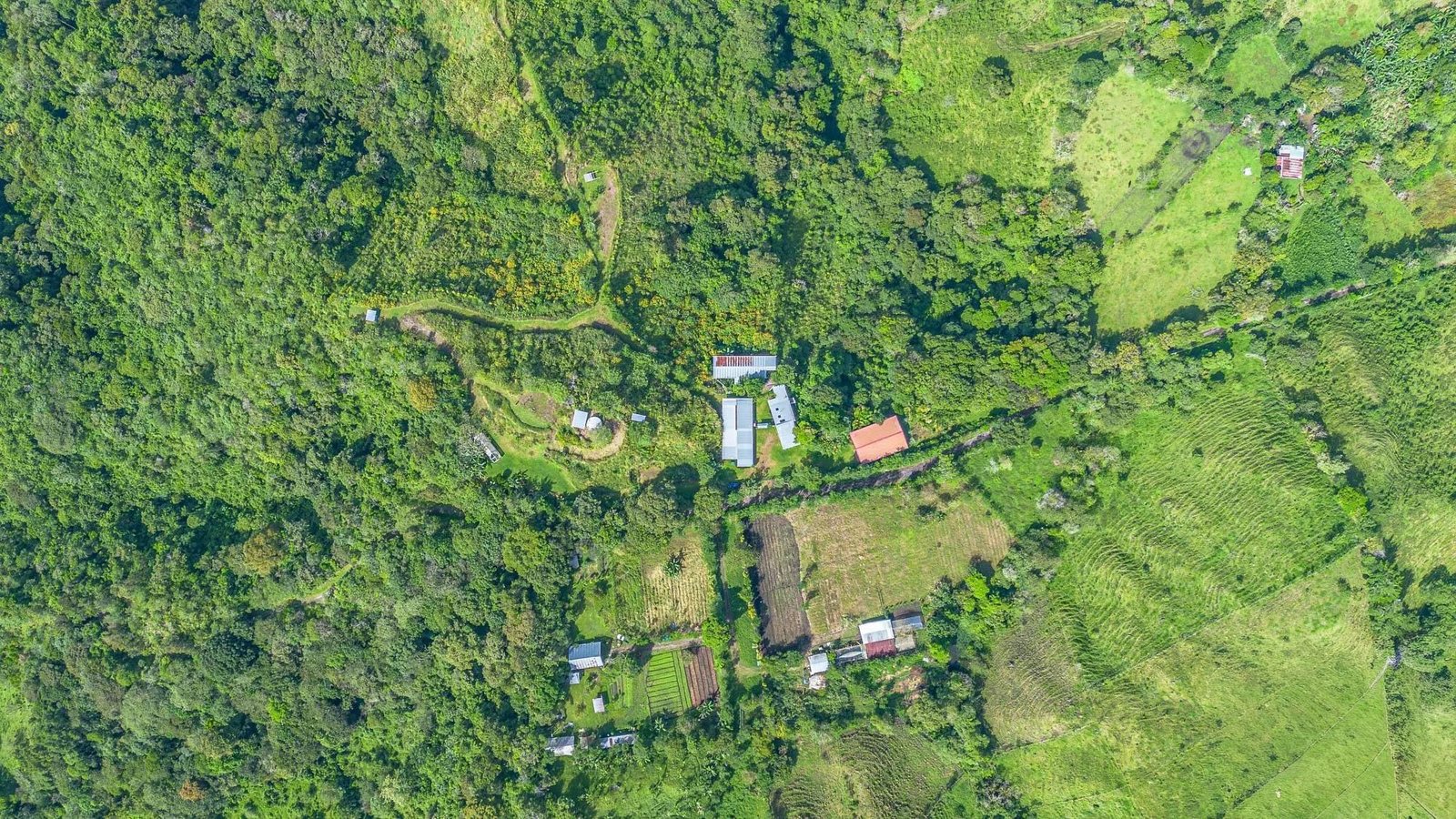 15-Hectare Self-Sufficient Property