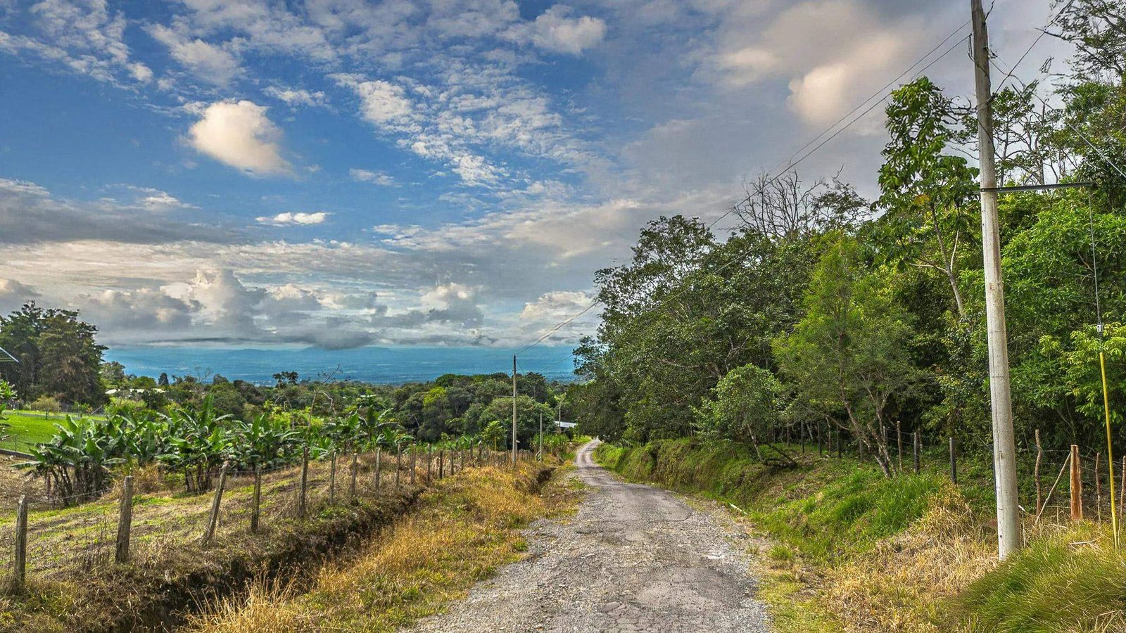 Land with Natural Forest