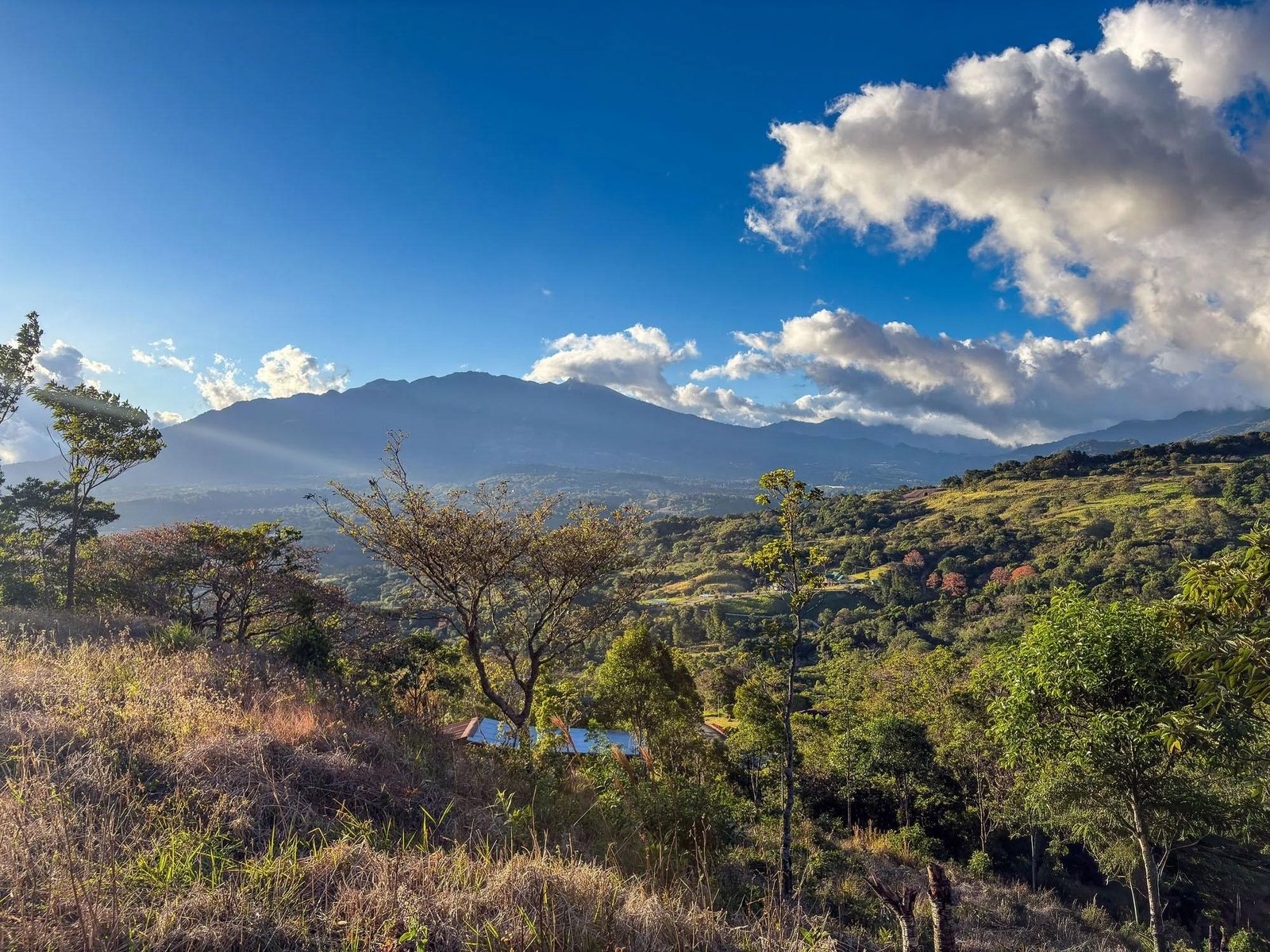 Mountain View lot for sale in Jaramillo