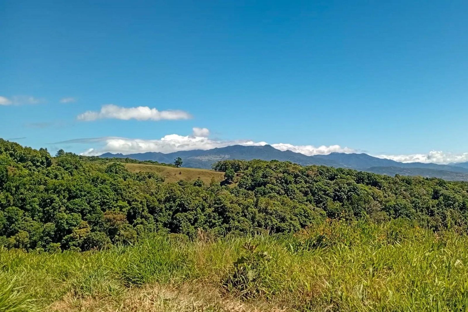 22 Hectares with Creek and Mountain View