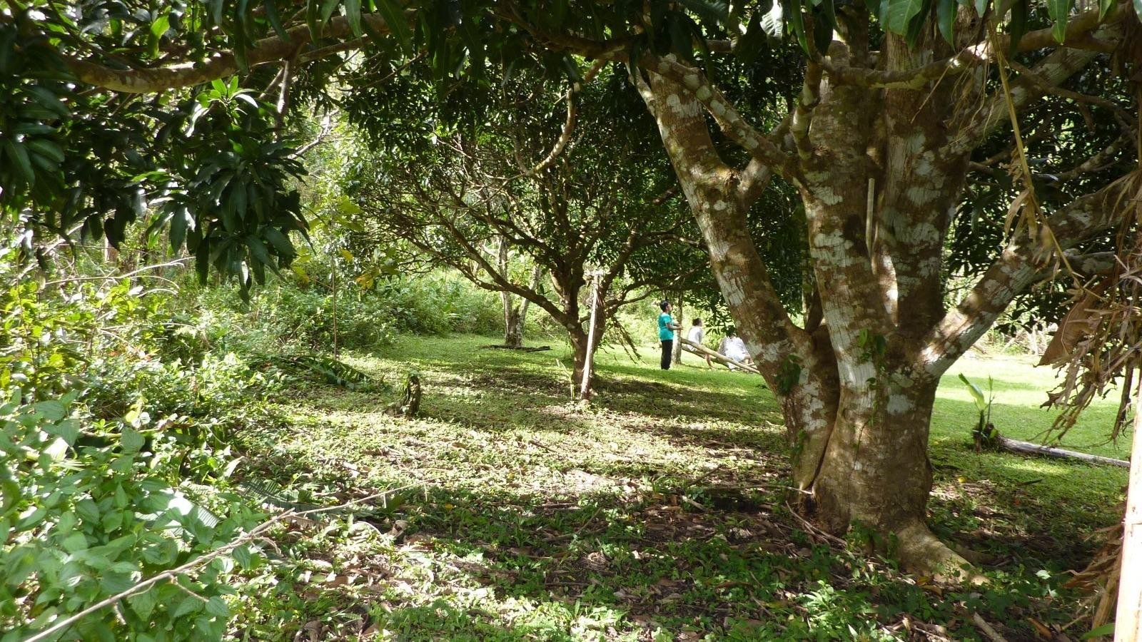 LA LAGUNA DE SAN CARLOS