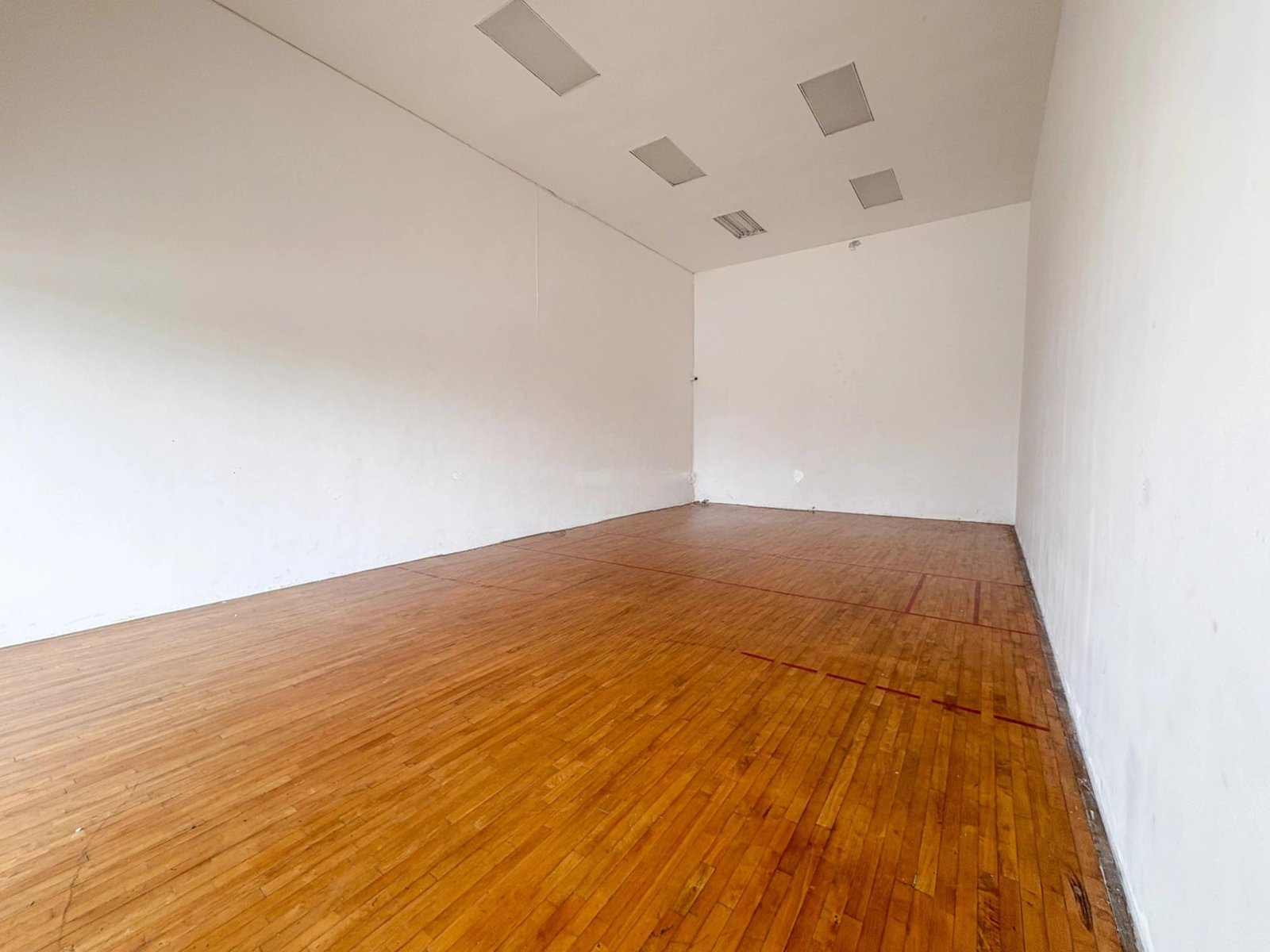 Gallery Image 7